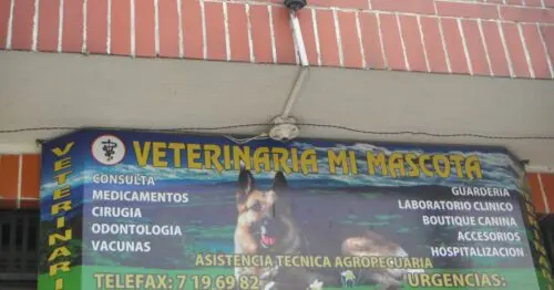 VETERINARIA MI MASCOTA CALLE 57B SUR 71D 94 VETERINARIA MI MASCOTA CALLE 57B SUR 71D 94